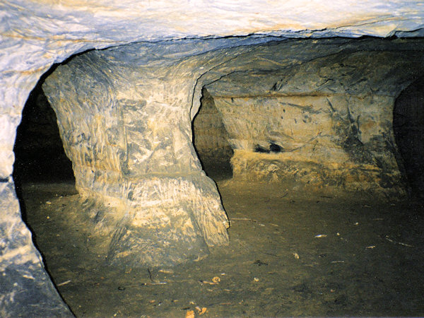 Riedel's cave at Dolní Prysk.