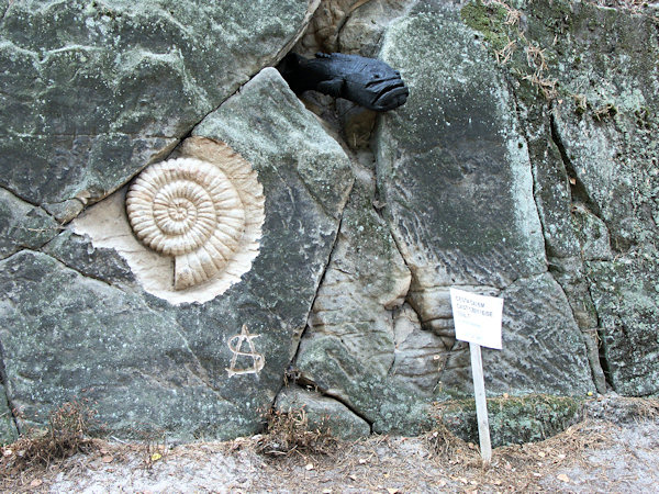 Skalní stezka (Felsweg) bei Brniště (Brims).