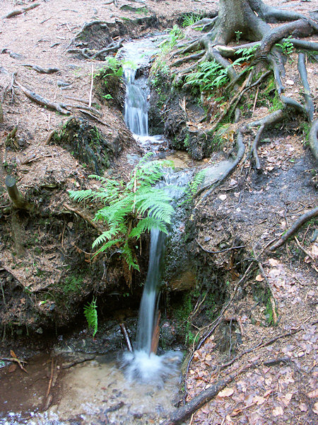 Údolí Lučního potoka (Wiesenwassertal).