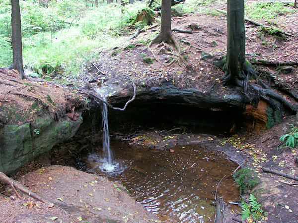 Small waterfall in Míšeňský důl.