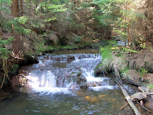 Rapids on the Hamerský potok.