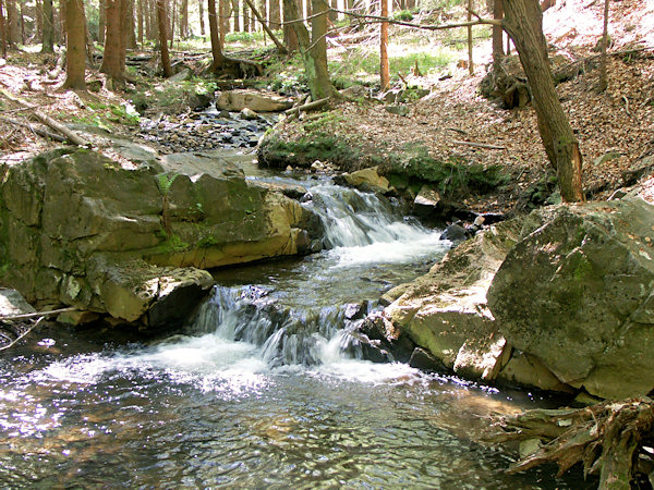 Rapids on the Hamerský potok.