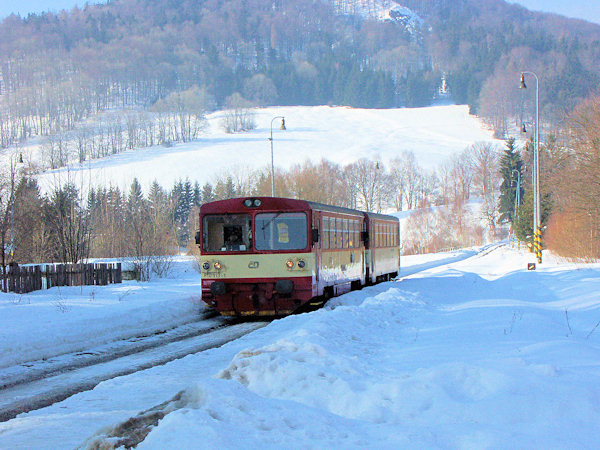 Motoráček z Jedlové do České Lípy přijíždí do zasněženého Svoru.