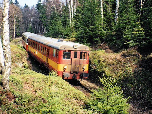 Motorový osobní vlak z Děčína do Jedlové projíždí nízkým zářezem u Hraničního rybníka.