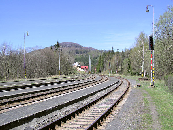Železniční stanice Jedlová leží uprostřed rozsáhlých lesů pod stejnojmennou horou.