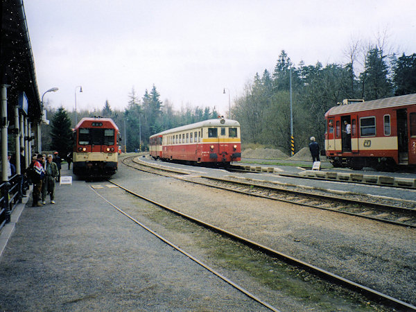 Jedlová (Tannenberg).