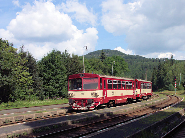 Jedlová (Tannenberg).