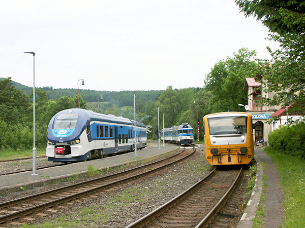 Setkání vlaků v Jedlové: motorová jednotka řady 844 „Regioshark“ vlevo pojede do Děčína, vpravo stojící „Regionova“ do České Lípy, a za nimi v pozadí právě zastavil rychlík z Kolína a České Lípy.