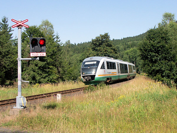 Jedlová (Tannenberg).