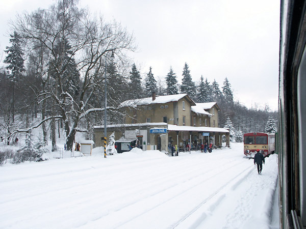 Jedlová (Tannenberg).