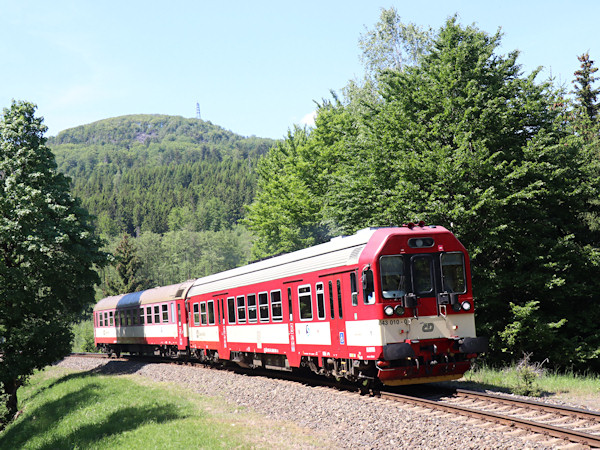 Osobní vlak ČD z Rumburka do Mladé Boleslavi přijíždí do stanice Jedlová. V pozadí je stejnojmenná hora.