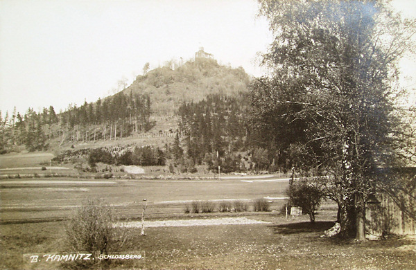 Diese Ansichtskarte zeigt den Zámecký vrch (Schlossberg) mit der Ruine der Burg Kamnitz in der ersten Hälfte des 20. Jahrhunderts, als der Berg fast ganz kahl war.