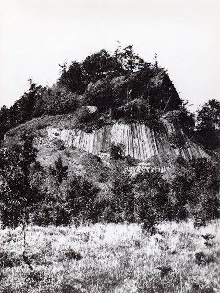 Diese Fotografie vom Ende der 30. Jahre des 20. Jahrhunderts zeigt den Basaltsteinbruch am Zlatý vrch (Goldberg) bei Líska (Hasel), als er noch im Betrieb stand. Man sieht die obere Etage des Bruches mit den schön ausgebildeten Basaltsäulen, die aber viel kürzer als heute waren. Die untere Etage ist fast vollständig von den Bäumen im Vordergrunde verdeckt.