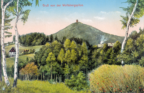 Diese Ansichtskarte von 1916 zeigt den bewaldeten Gipfel des Vlčí hora-Berges (Wolfsberg) mit dem Aussichtsturm von Südwesten.