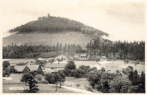 Auf dieser Ansichtskarte sieht man den Vlčí hora-Berg (Wolfsberg) mit dem Aussichtsturm auf seinem Gipfel mit den nach der Nonnenplage 1924 kahlen Hängen. Im Vordergrund ist der mittlere Teil der Ortschaft Vlčí Hora (Wolfsberg).
