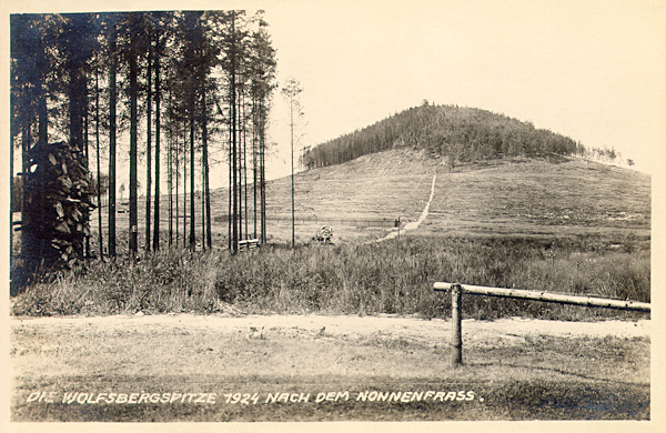 Diese Ansichtskarte zeigt den Vlčí hora-Berg (Wolfsberg) mit den nach der Nonnenplage im Jahre 1924 kahlen Abhängen.