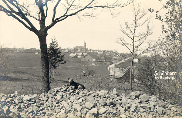 Na pohlednici z roku 1916 vidíme osadu s kostelem sv. Františka Serafinského od okraje lesa nad varnsdorfskou silnicí.