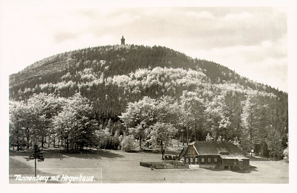 On this picture postcard there is the broad dome of the Jedlová hill with the lookout tower opened in 1891. In the foreground there is the former gamekeeper´s lodge, the oldest house of the village of Jedlová which at present is known under the name „Ranch 7D“.