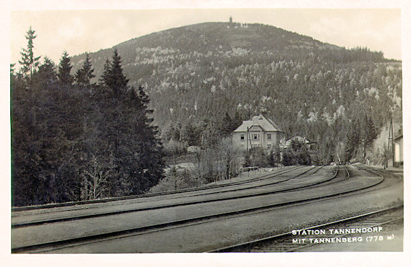 Diese Ansichtskarte zeigt den Bahnhof Jedlová (Tannendorf) und den gleichnamigen Berg um 1935. Das im Hintergrund stehende Gebäude für die Bahnangestellten steht heute leer und verkommt zusehends.