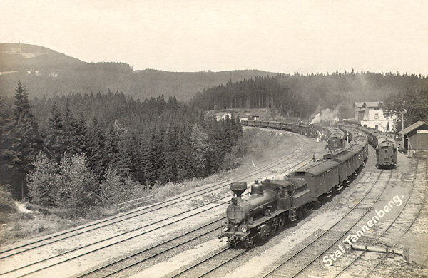 This picture postcard from the beginning of the 20th century shows the railway station Jedlová at the meeting of trains to Česká Lípa, Děčín, Rumburk and Varnsdorf.