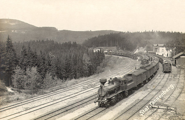 Diese Ansichtskarte vom Anfang des 20. Jahrhunderts zeigt den Bahnhof Jedlová (Tannendorf) beim Treffen der Züge nach Česká Lípa, Děčín, Rumburk und Varnsdorf.