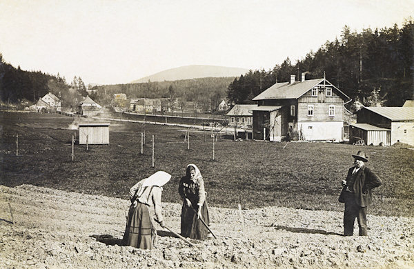 This picture postcard shows the upper end of the village Mlýny. In the former gamekeeper's lodge in the foreground is now an inn.