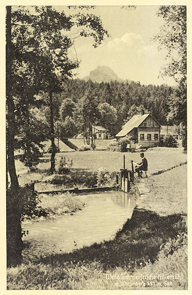 Diese romantische Ansichtskarte zeigt den Westrand der Gemeinde Mlýny (Hillemühl) mit der alten Schleifmühle No. 13. Im Hintergrunde ragt der Gipfelfelsen des Střední vrch (Mittenberg, Preschkauer Berg) empor.