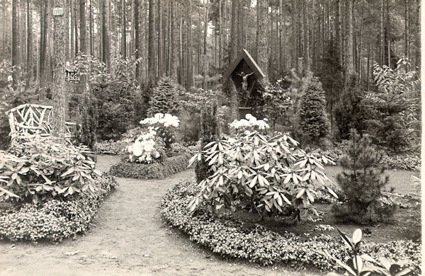 Tato pohlednice zachycuje tiché prostředí novoborského lesního hřbitova, zřízeného v roce 1909 na východním okraji města.