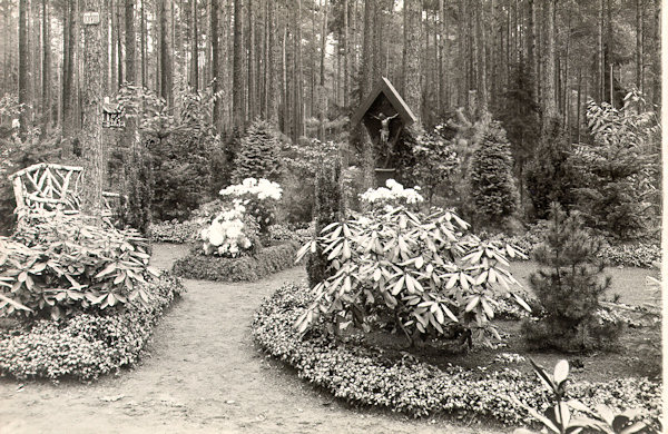 This picture postcard records the serene atmosphere of the woodland cemetery founded in 1909 in the eastern outskirts of the town.