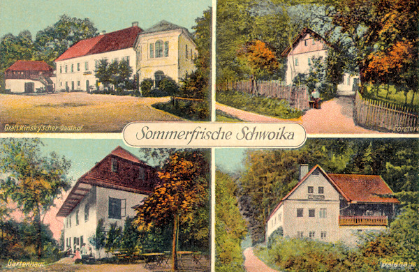 Na pohlednici Svojkova ze 20. let 20. století je zachyceno několik tehdy významných budov. Nahoře vlevo je výletní hostinec Kinských, vpravo panská hájovna, pod ní Lesní dům u cesty do Modlivého dolu a vlevo dole zahradní restaurace.