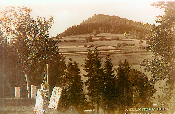 Diese Ansichtskarte zeigt den Velenický kopec (Wellnitzberg) im Blick von der oberen Kurve der Strasse von Velenice (Wellnitz) nach Brniště (Brins). Am Berghange unter dem Waldrand sieht man die heute schon verschwundene St. Josefs-Kapelle.