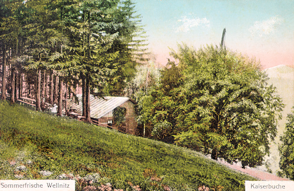 Tato pohlednice z roku 1914 zachycuje Císařský buk s hostincem na svahu Velenického kopce.