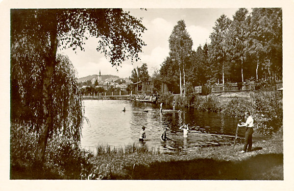 Tato pohlednice zachycuje Pivovarský rybník pod Zeleným vrchem, využívaný ke koupání již před koncem 19. století.