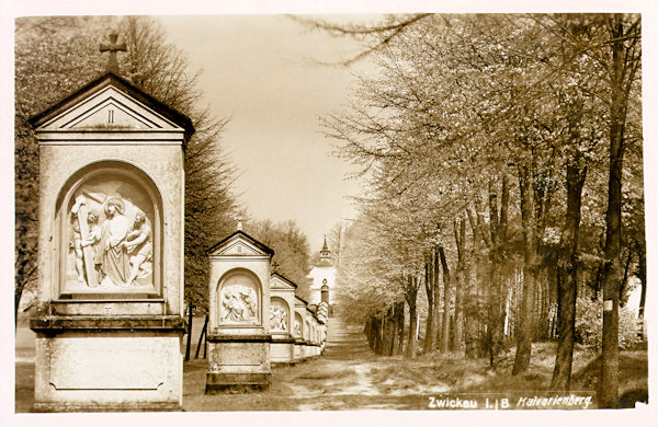 Tato pohlednice zachycuje cvikovskou Křížovou cestu s vrcholovou kaplí Božího hrobu. Kapličky vroubila lipová alej, vysazená v roce 1883.