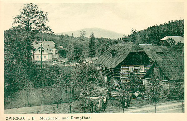 Diese Ansichtskarte zeigt ein heute bereits verschwundenes Holzhaus an der Strasse von Cvikov. Im Hintergrund sieht man das Dampfbad Leopold Martins.