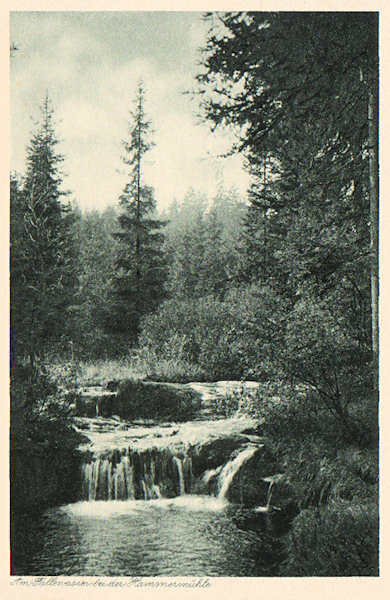 Auf dieser Ansichtskarte sieht man den malerischen Abschnitt des Hamerský potok (Hammerbach) oberhalb des Staudammes, der wegen der vielen kleinen Stromschnellen den Namen „Fallewasser“ trug.