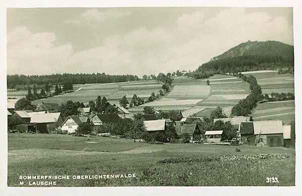 This picture postcard shows the houses standing in a shallow valley along of the road to Dolní Světlá. On the left side the road to Myslivny and in the background the peak of the Luž hill are shown.