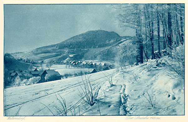 Auf dieser Winteransichtskarte sieht man den Luž-Berg (Lausche) mit dem Waltersdorfer Oberdorf gesehen vom Hange des Butterberges.