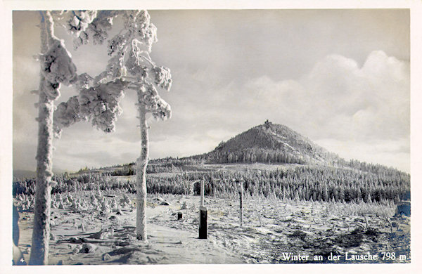 Diese Ansichtskarte zeigt eine winterliche Stimmung am Scheitel des Grenzkammes westlich des Lausche- (Luž-) Gipfels.