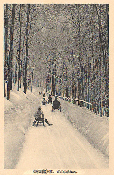 This picture postcard shows the toboggan run on the German slope of the Luž hill.