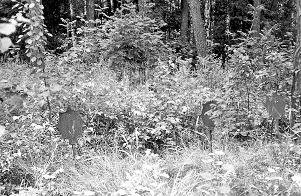 This photograph shows the condition of the cemetery in approximately 1980.