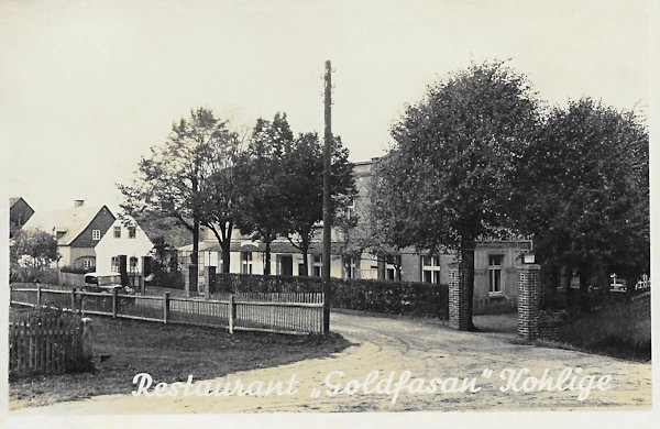 This postcard shows the Golden Pheasant Inn hidden behind trees. Of the houses to the left of it, only the nearest one with a brick gable now stands.