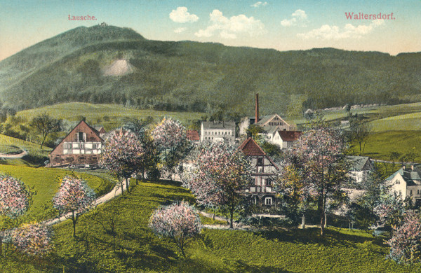 This picture postcard from the years before World War One shows the central part of the village covered with flowering trees in the view from the northwestern foot of the Butterberg. In the background there is the bordering ridge of the Lužické hory (Lusatian mountains) with its highest peak, the Luž.