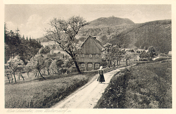 Na pohlednici z doby kolem roku 1920 vidíme starou cestu, vedoucí do Waltersdorfu po jihovýchodní straně Butterbergu. V pozadí je hora Luž.