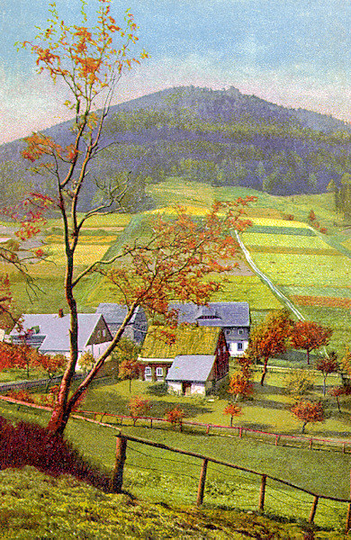 Pohlednice z 1. poloviny 20. století zachycuje skupinu domků v horní části obce pod Luží.