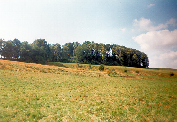 Hradiště u vesnice Wotrow (Ostro).
