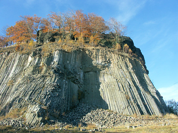 The face of the abandoned quarry at the Zlatý vrch at Líska shows basalt columns up to 30 m long.