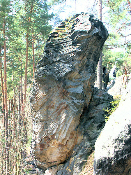 Am Dutý kámen (Hohlstein) bei Cvikov (Zwickau) befindet sich ein einzigartiges Beispiel der säuligen Absonderung eines Sandsteines.