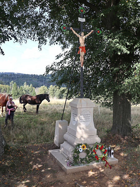 Slavnost přilákala i koně ze sousední pastviny.