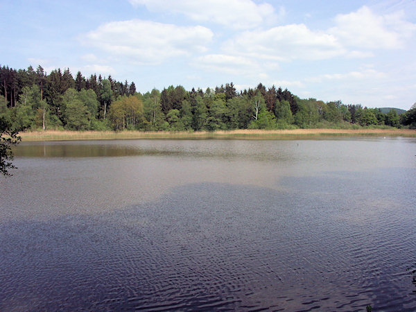 Der Janovský rybník (Johannesdorfer Teich).
